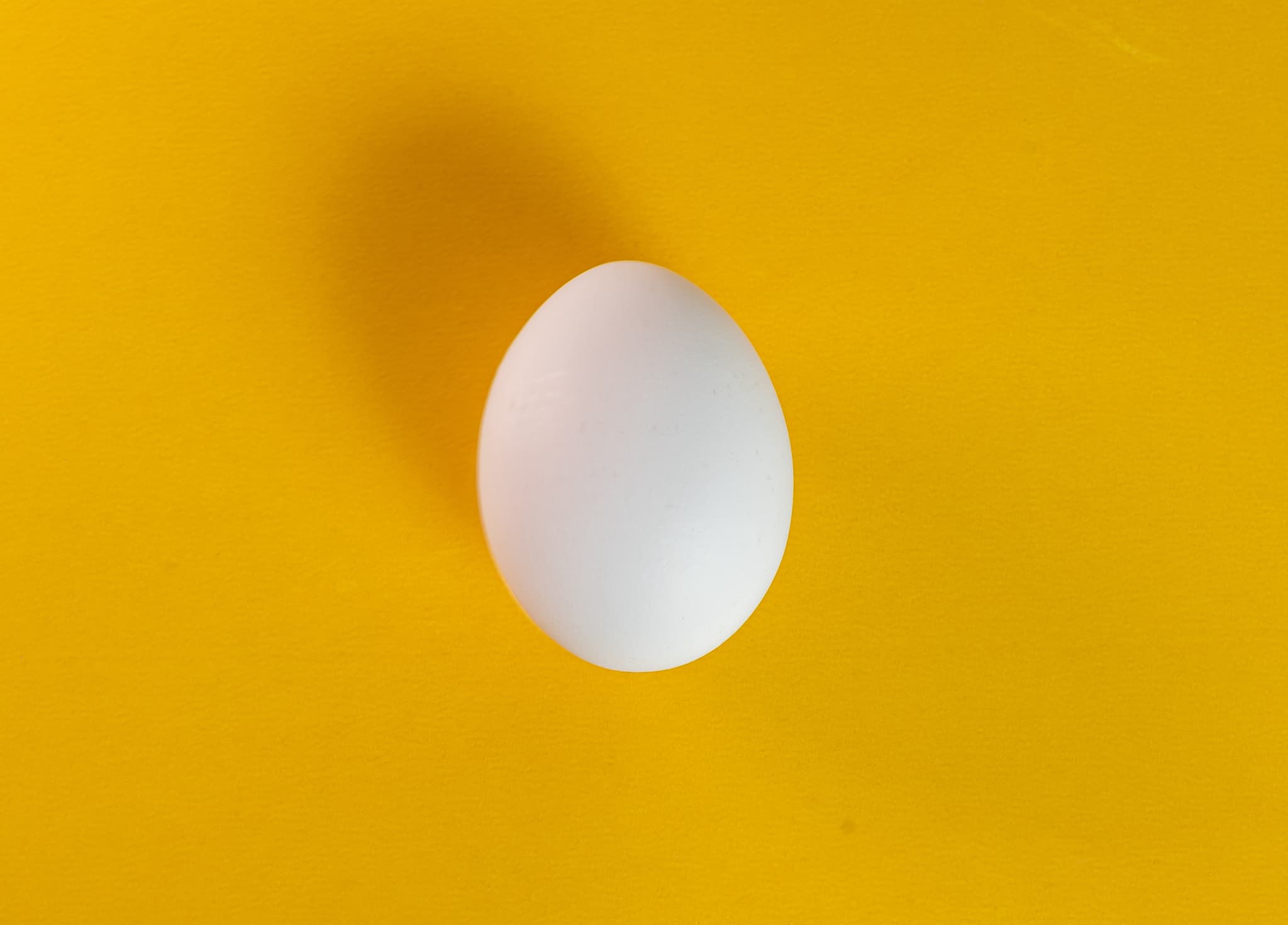 image-transform.jpg